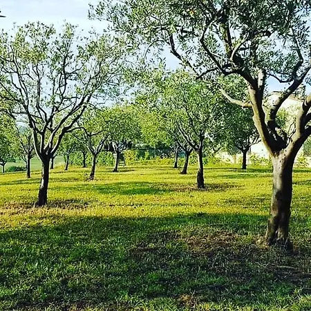 Villetta Sui Colli Nelle Marche Pesaro