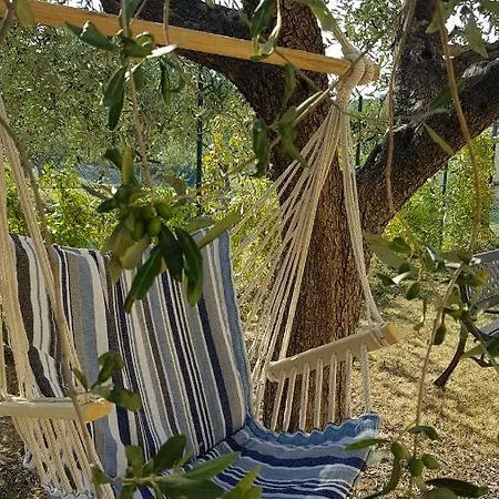 Villetta Sui Colli Nelle Marche Casa vacanze